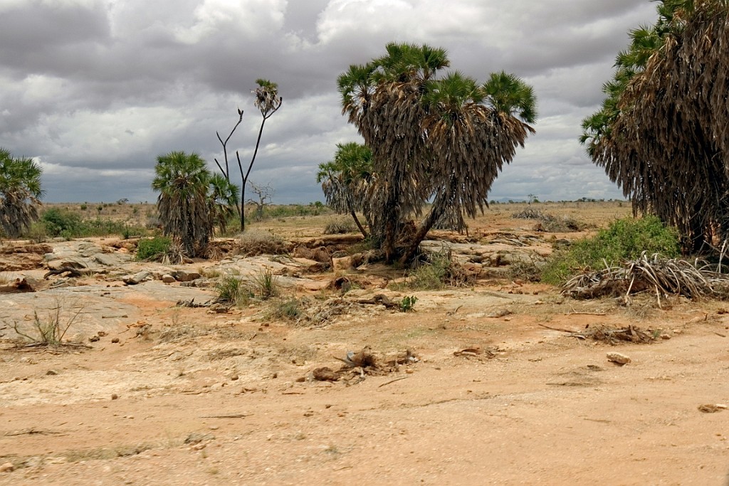 Kenia (393).jpg